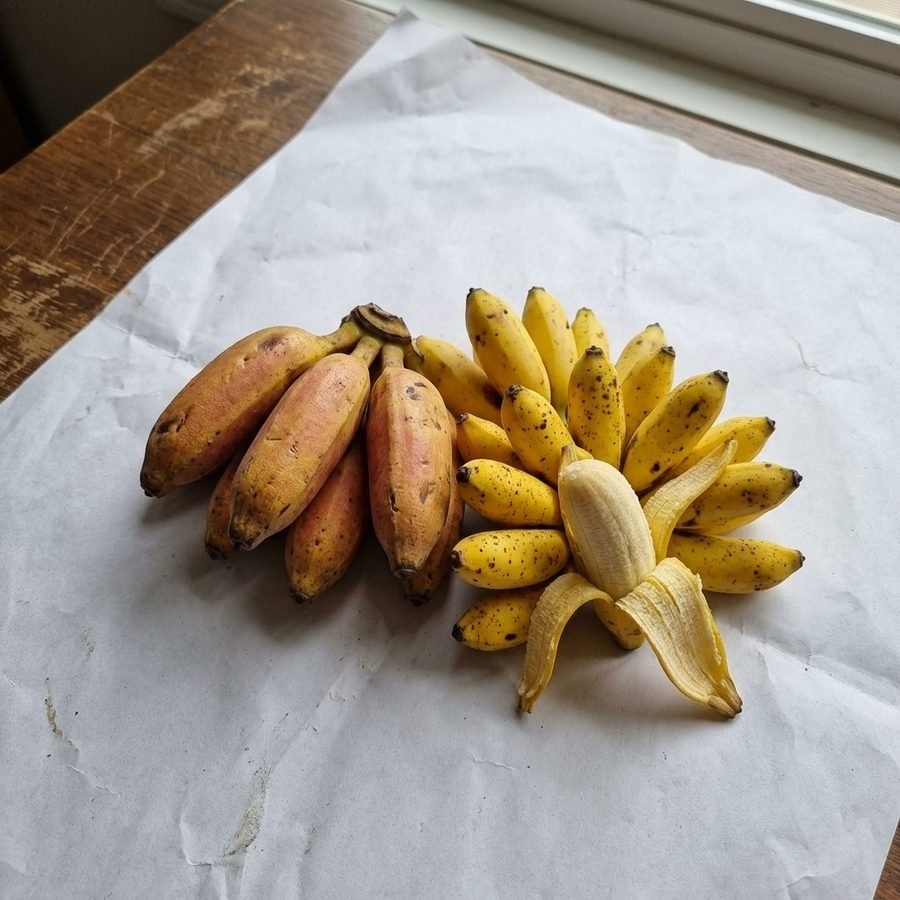 Plátano de isla y manzanito
